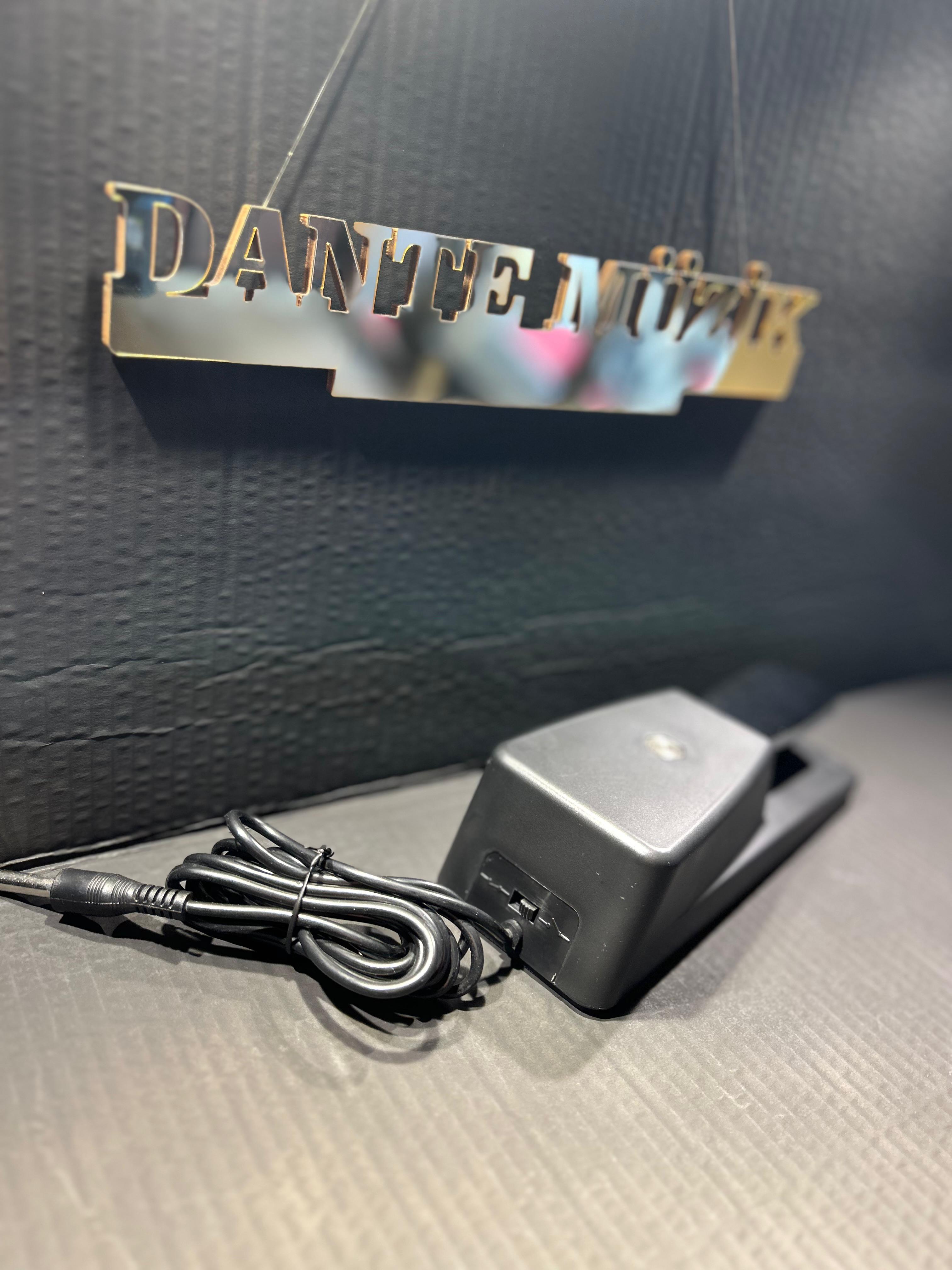 DANTE PIANO TARZI SUTAIN PEDAL