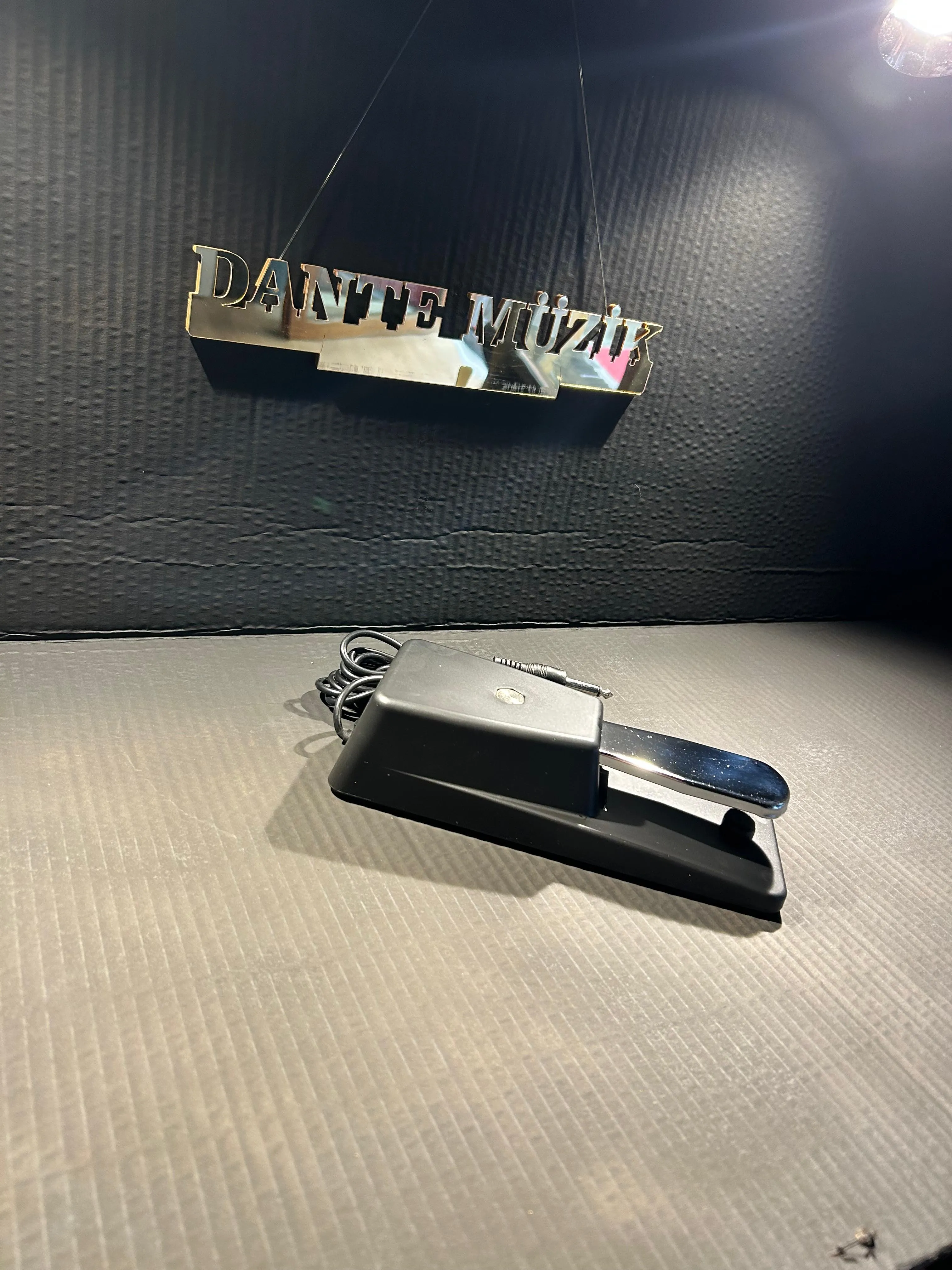 DANTE PIANO TARZI SUTAIN PEDAL